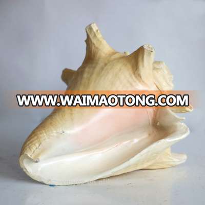 Resin conch statue resin shell for indoor decorative